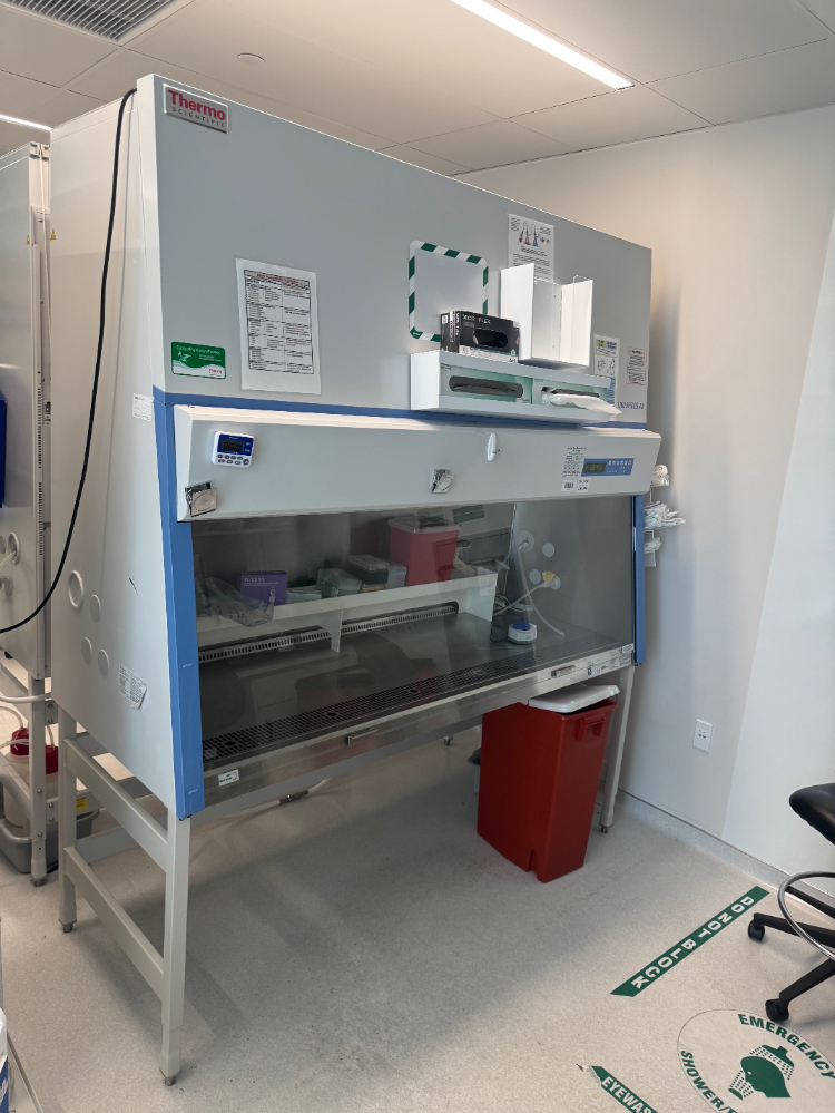 Image of Thermo 1300 Series A2 6' Biosafety Cabinet